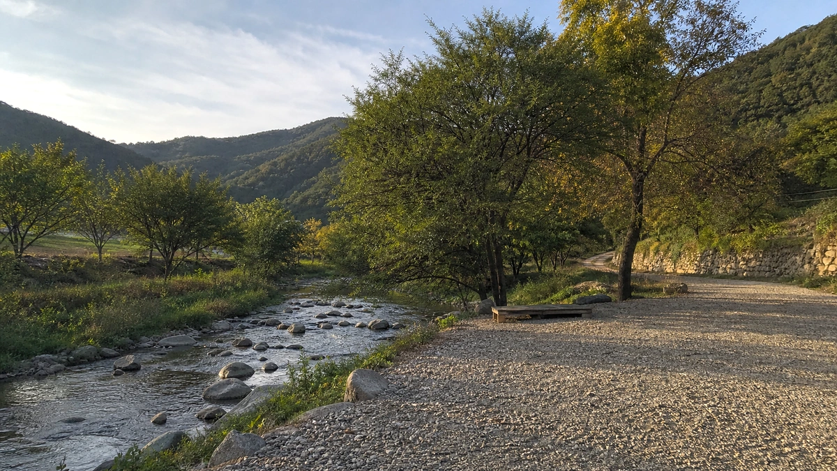 강변 보행로와 낮은 도시 건물이 이어지는 접근 동선