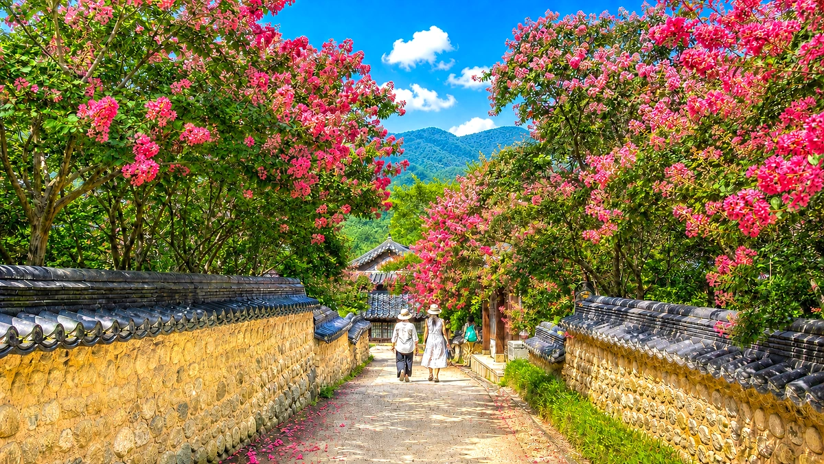 돌길과 분홍 꽃, 열린 하늘이 이어지는 사찰 산책로