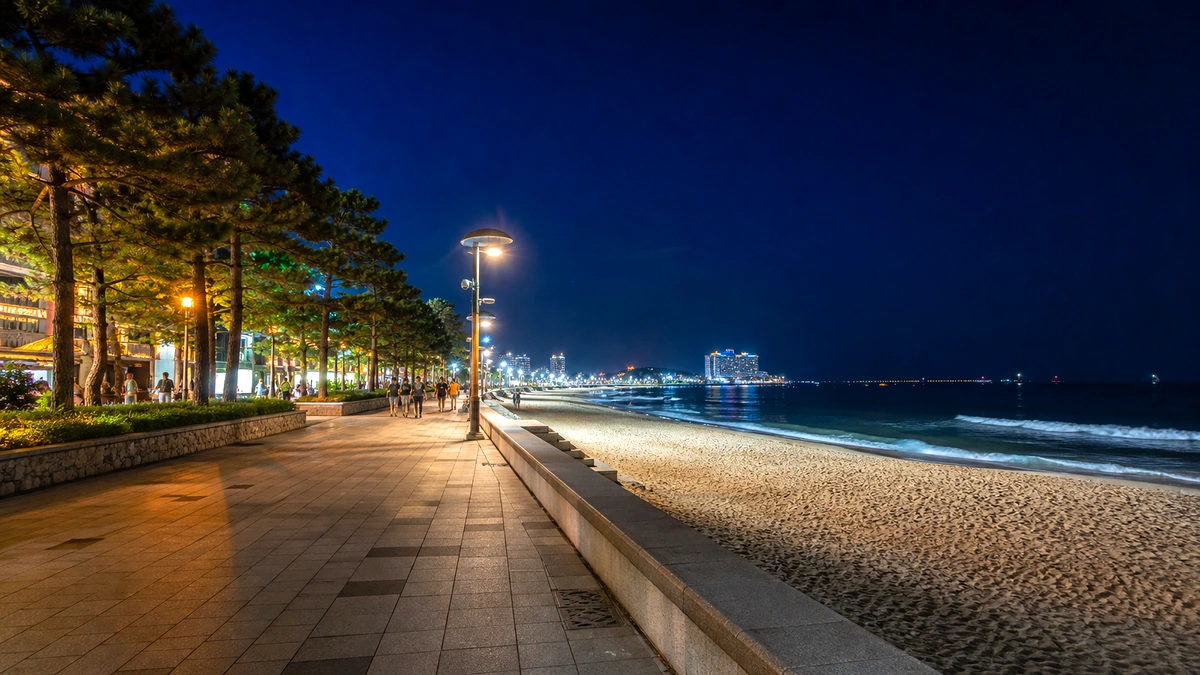 강릉 경포해변 밤 조명 산책로