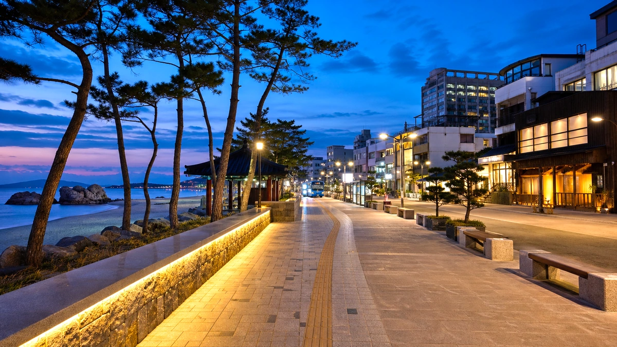 동해안 해변 뒤편 야간 보행 거리