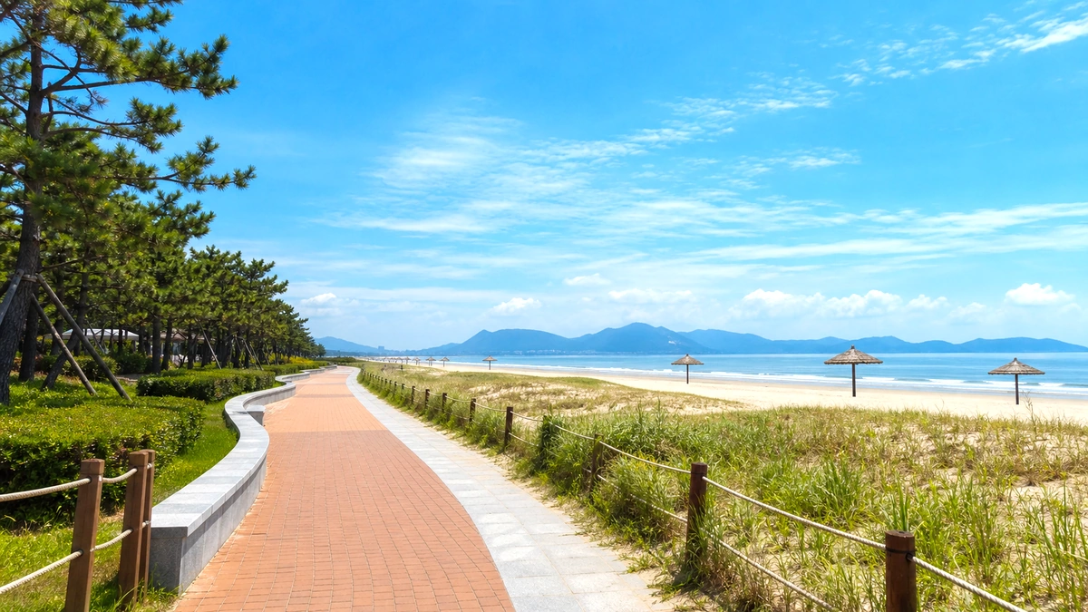 부산 서쪽 해변의 노을 전 물빛과 산책로