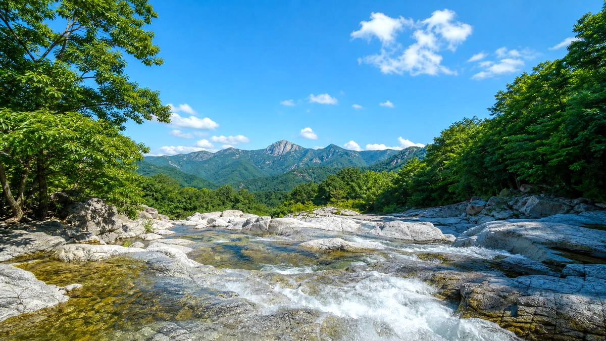 동산계곡 입구를 떠올리는 숲길과 물소리