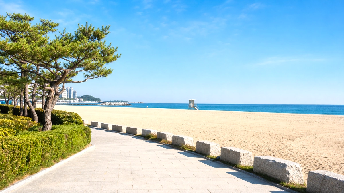 청호동 방향 바다길과 저녁 보행로
