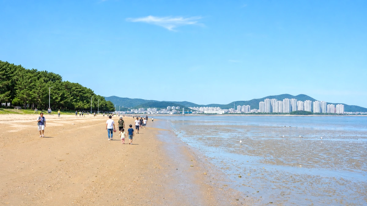 인천 서해 해변과 낮은 물때 풍경