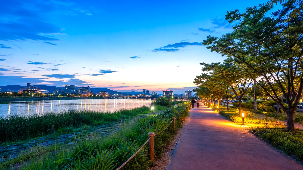 충남 여름밤 수변 산책로와 도시 불빛