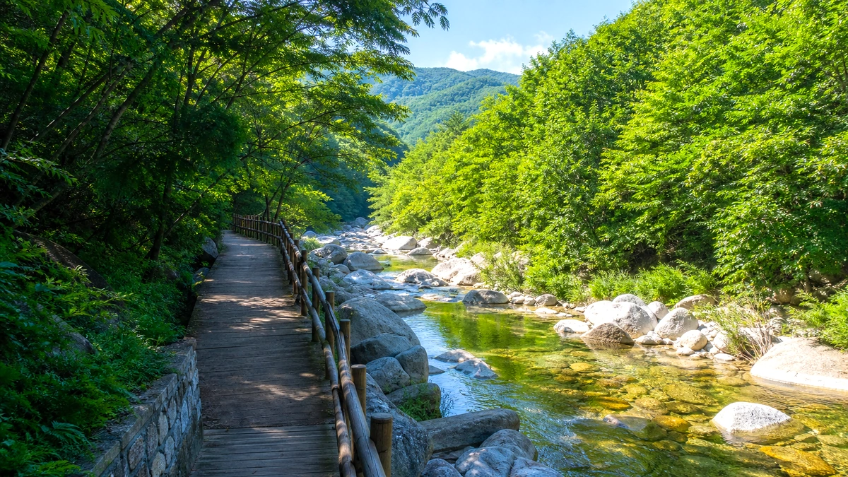 복구된 산책로와 얕은 물길