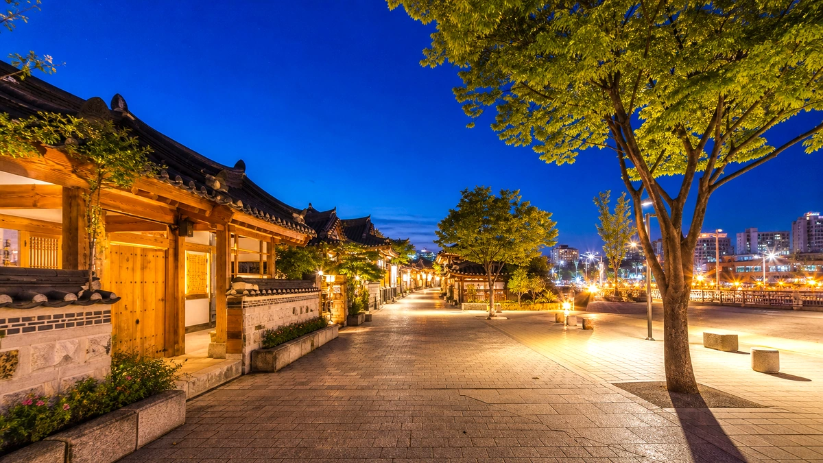 전주 여름밤 보행길과 낮은 불빛