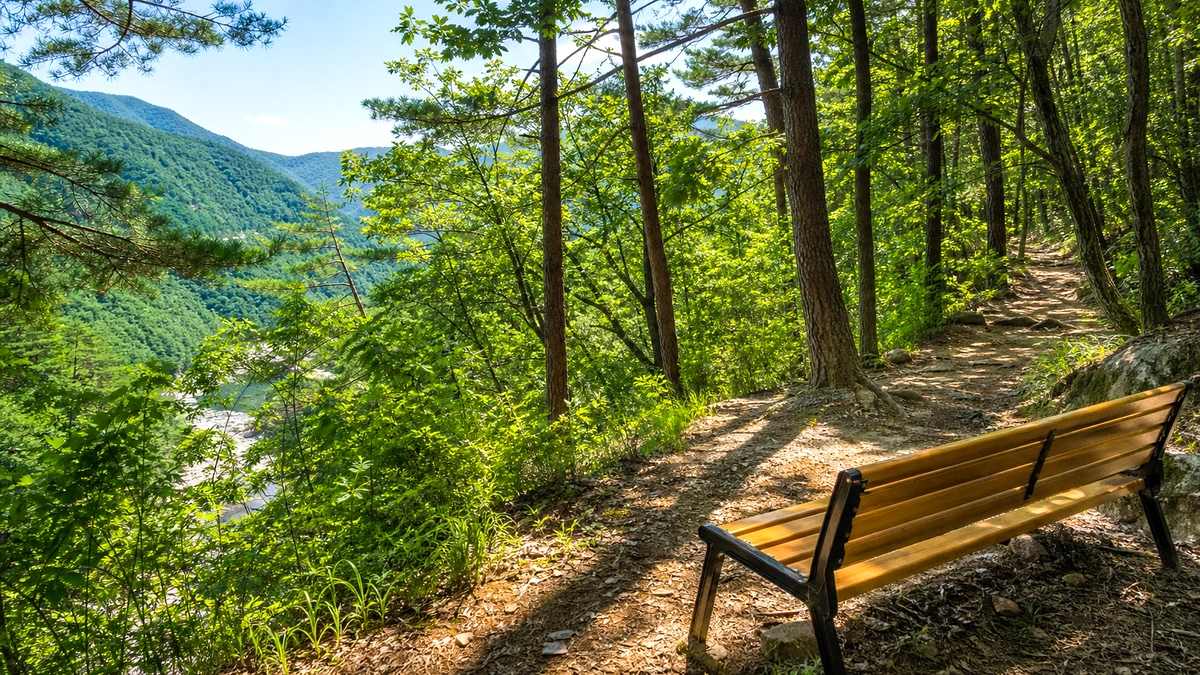 평창 산숲 데크길과 열린 능선