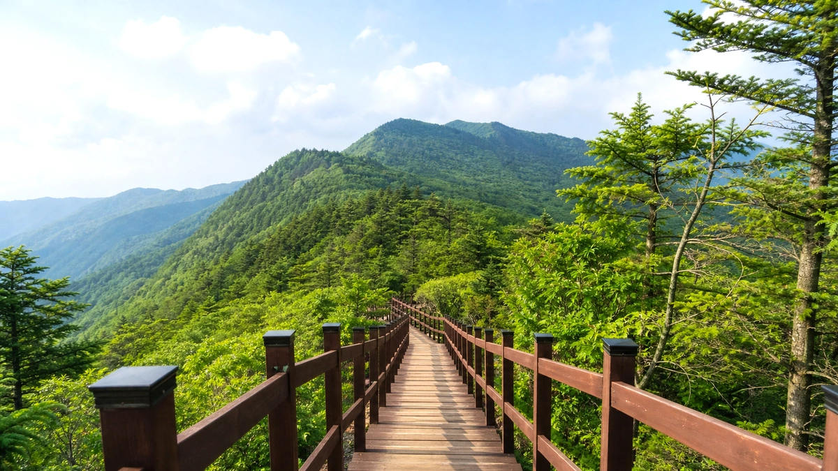 평창 숲계곡 입구와 산길