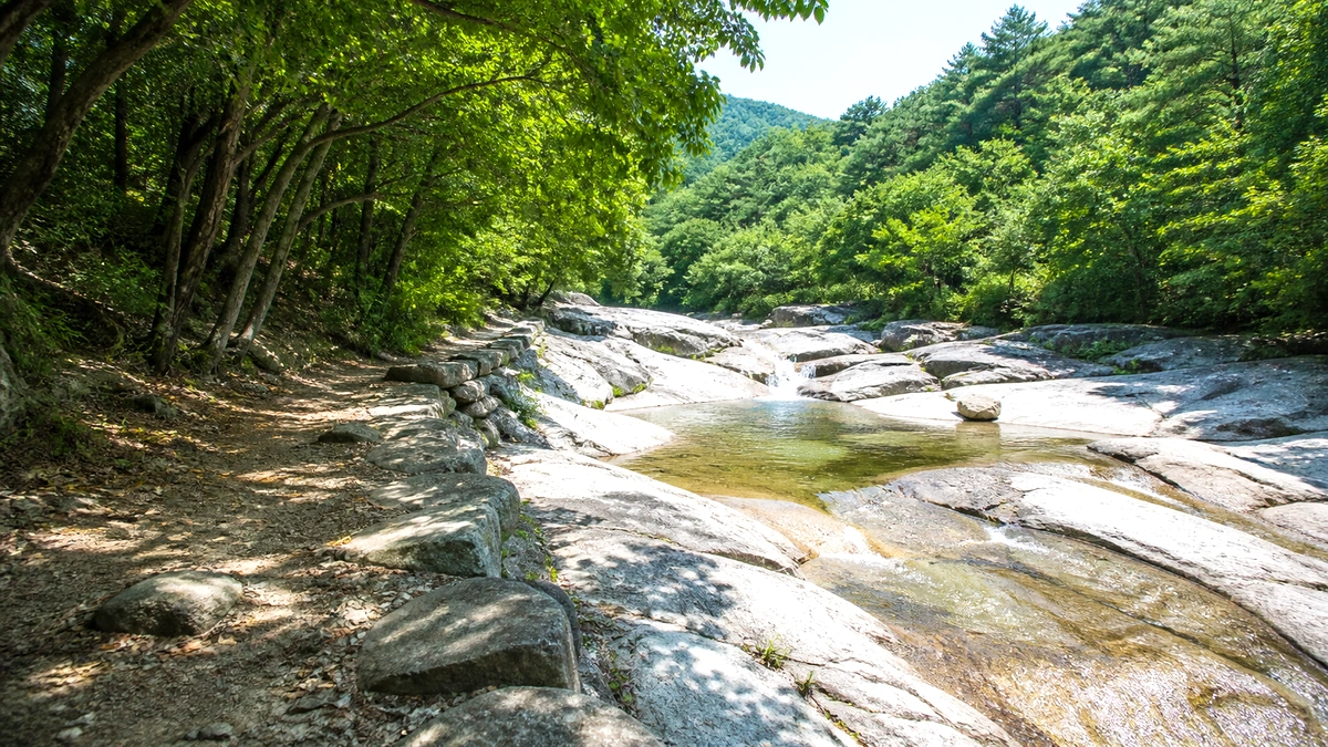 충남 계곡 바위 물길과 그늘 산책로 여행 사진