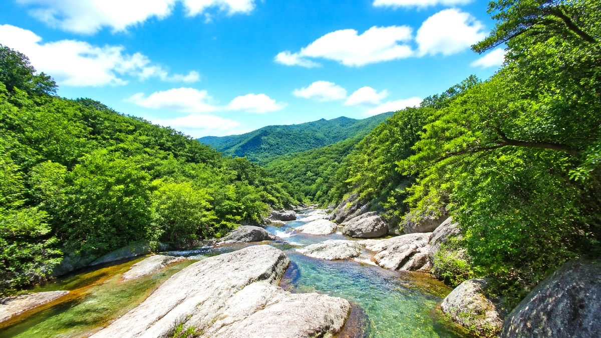 충남 낮은 산과 열린 계곡 풍경 여행 사진