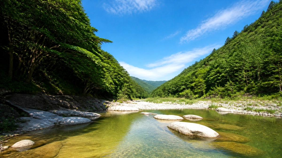충남 한여름 계곡 물굽이와 하늘 여행 사진