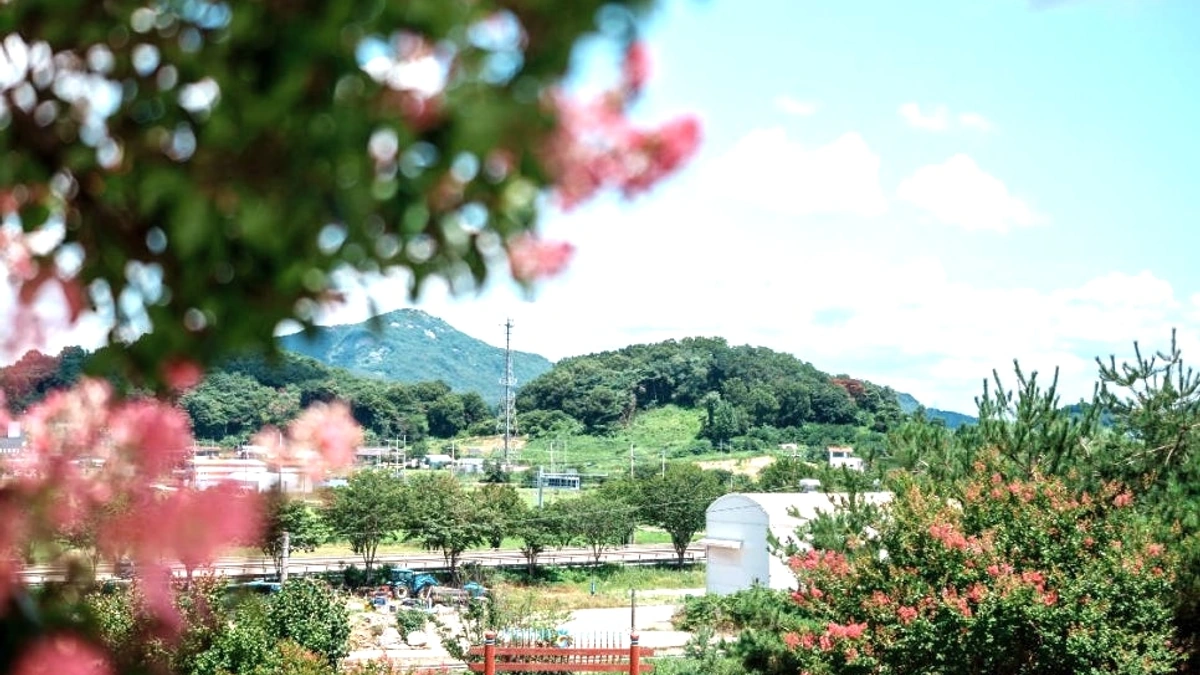 아산 모선사 문화유산 마당 산책과 꽃그늘