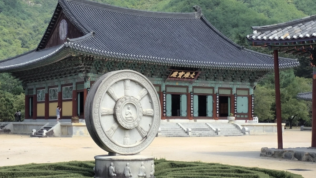 청도 운문사 사찰 건축으로 이어지는 여름 숲길