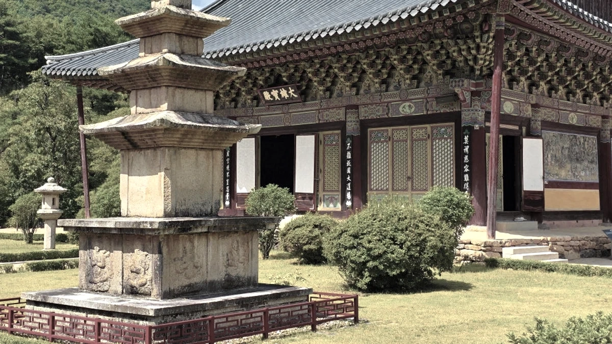 청도 운문사 건축 담장과 여름 그늘