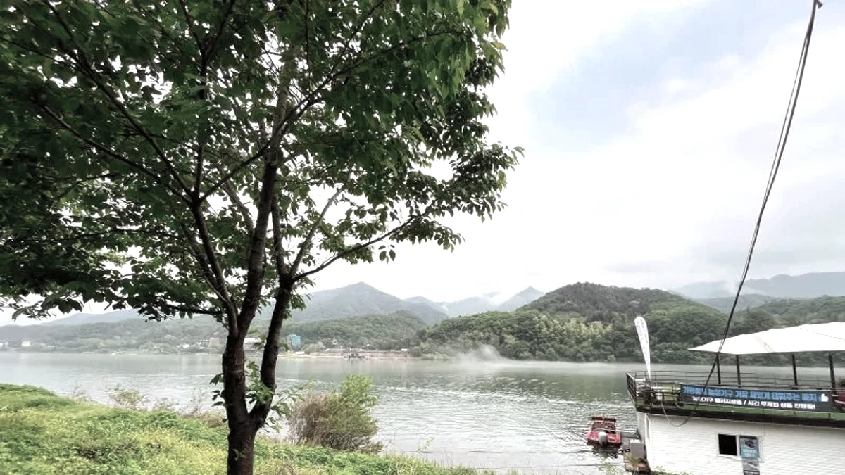 대성리역 뒤편 강변 접근길과 물가