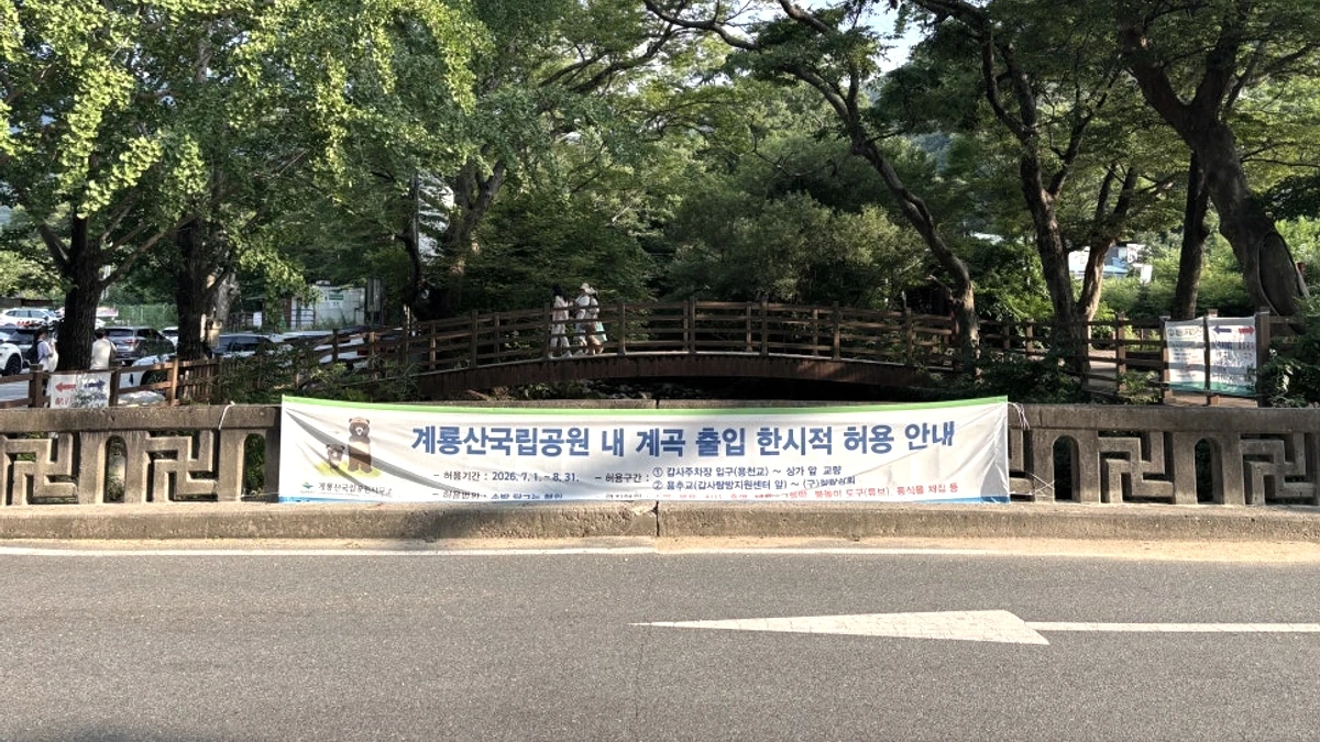 공주 갑사계곡 바위와 얕은 물길