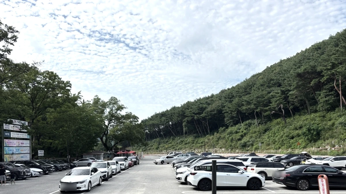갑사 주차장에서 이어지는 숲길