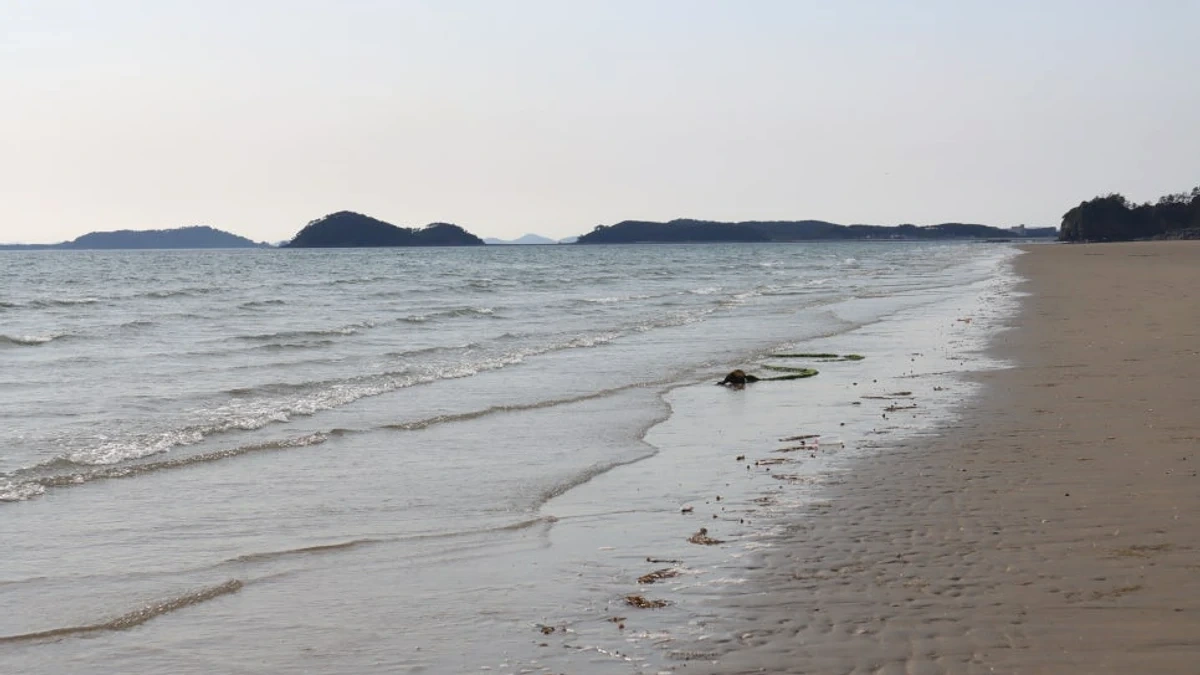 태안 기지포해수욕장 해변 산책길