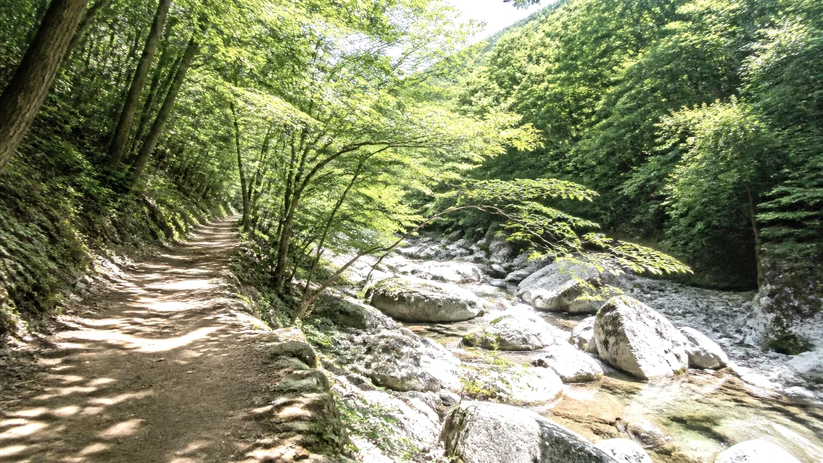 강당골계곡 옆 그늘 산책로