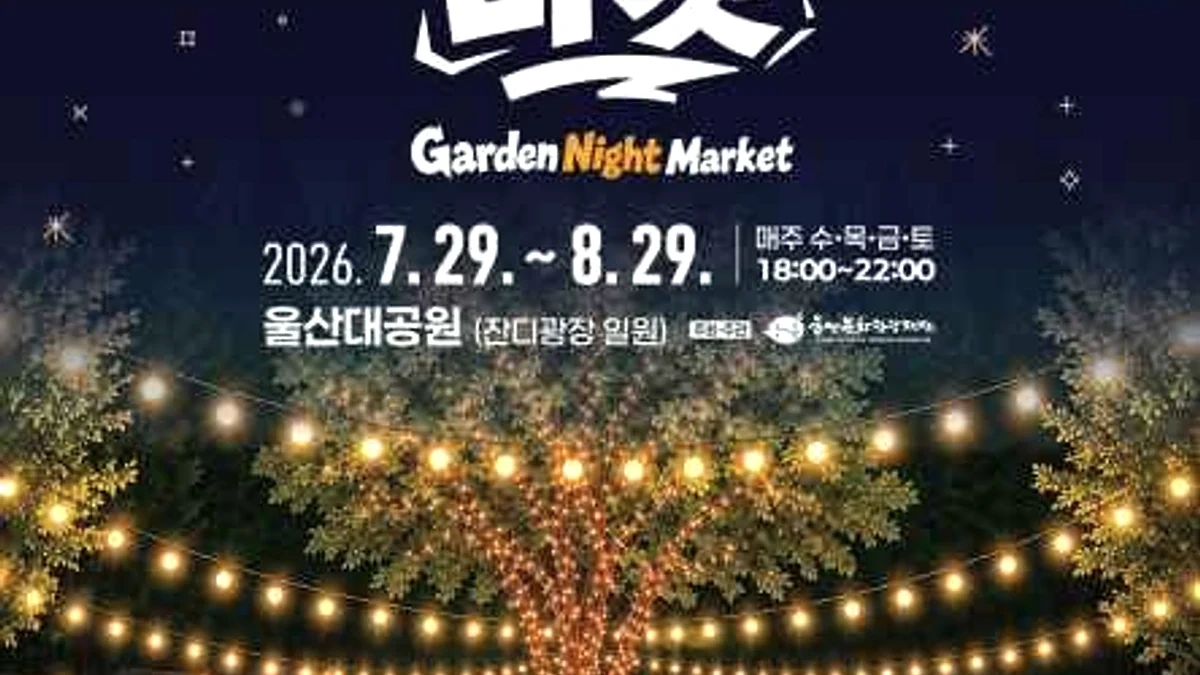 2026년 8월 전국 축제 현장