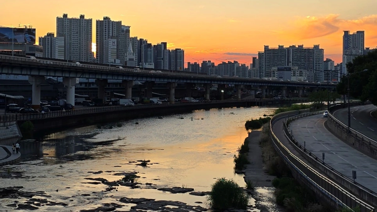 대구광역시 공식 블로그가 공개한 칠성야시장 수변 야경과 도시 스카이라인.