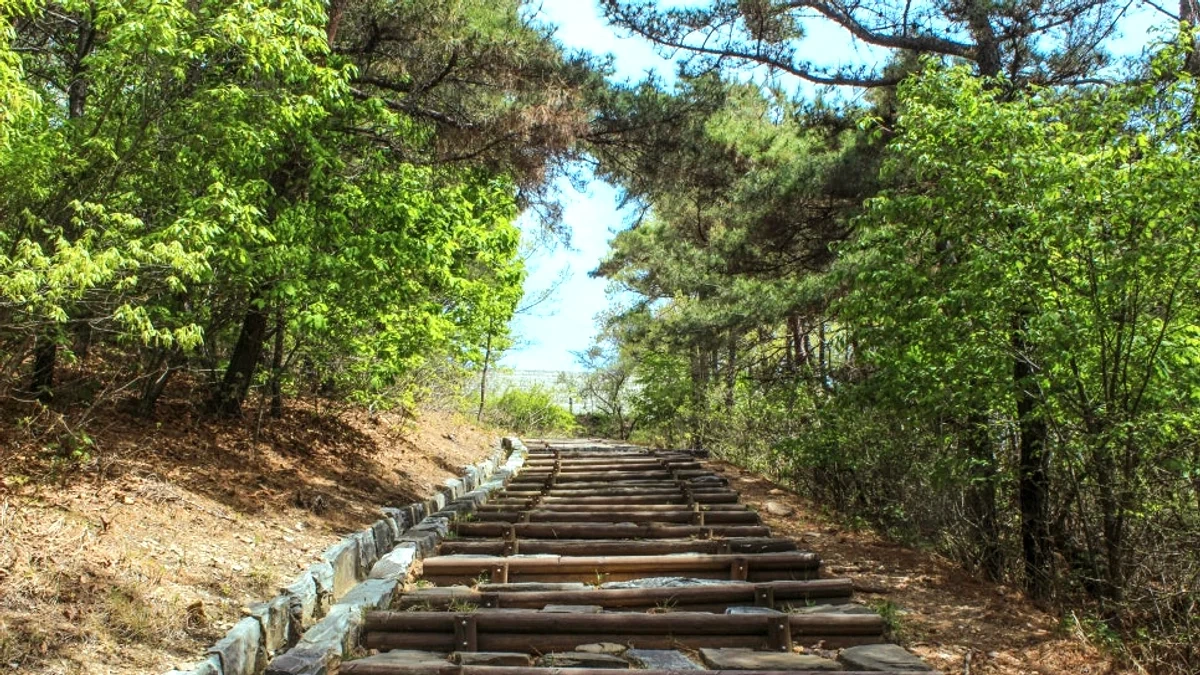 강화군 공식 블로그가 공개한 강화 해안 방어 유적의 석축과 길.