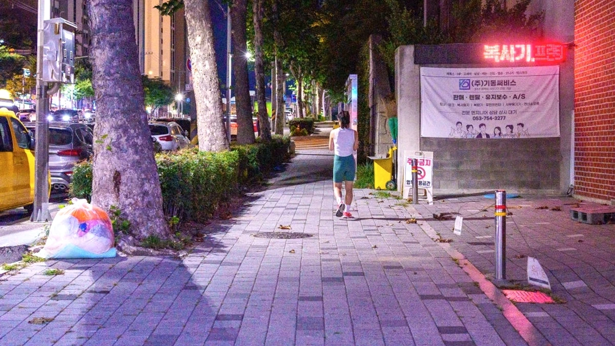 봉덕동 강아지런 코스의 가로수와 밤길 조명