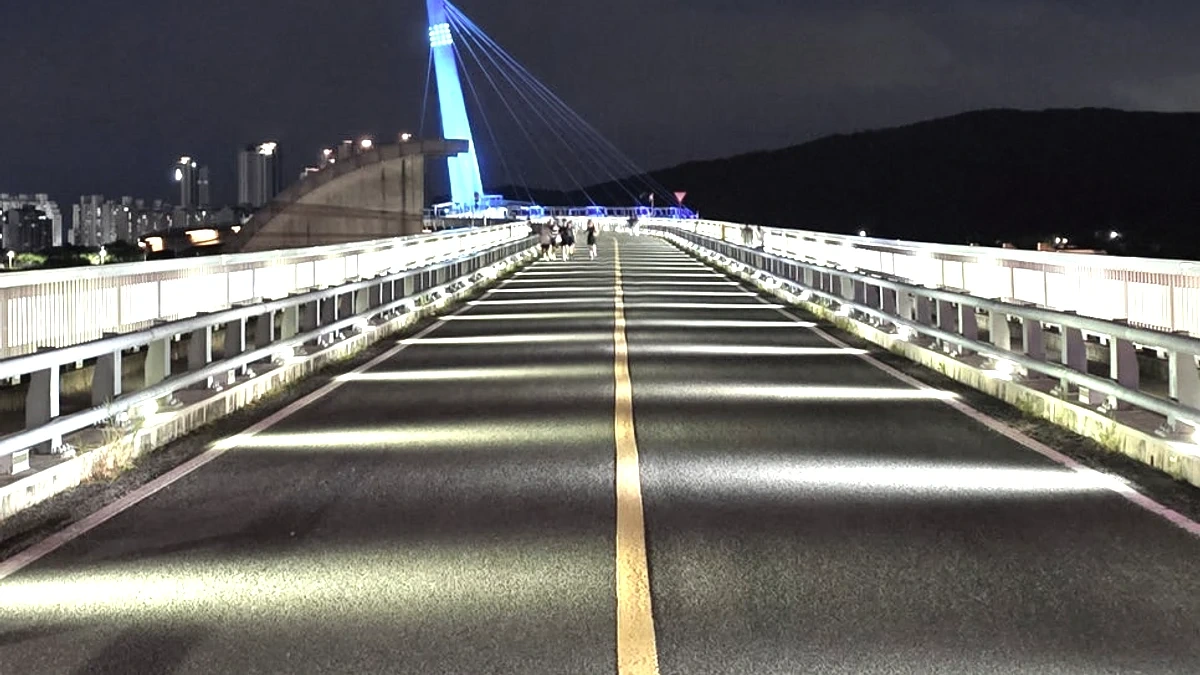 강정고령보 보행교 조명이 이어지는 야간 산책로