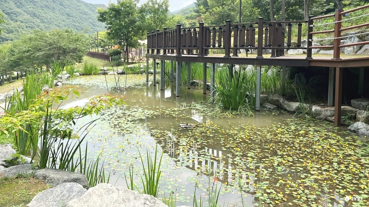 대운산자연휴양림 산 숲 사이 연못과 데크 전망