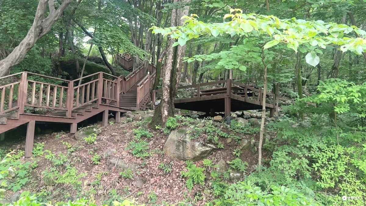 대운산자연휴양림 숲속 산책로와 데크길
