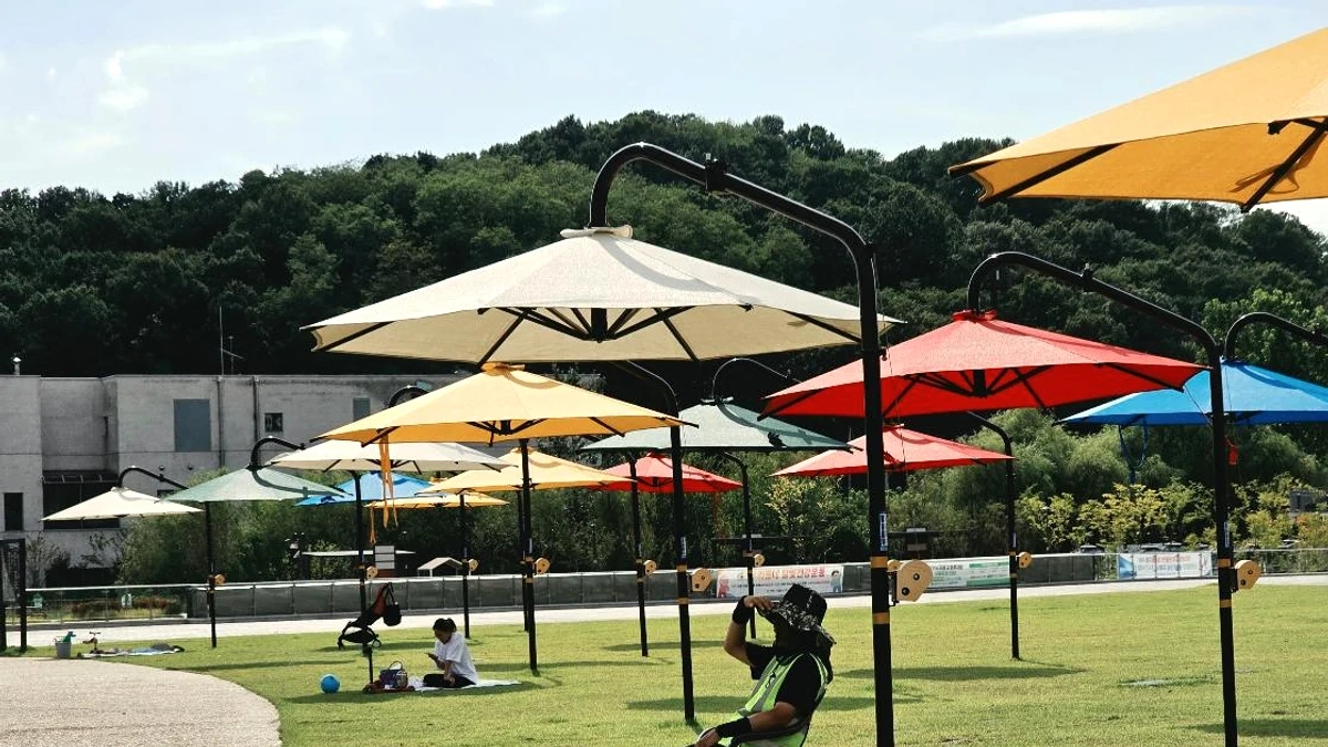 음악분수 관람 뒤 이어지는 천안 삼거리공원 산책 동선