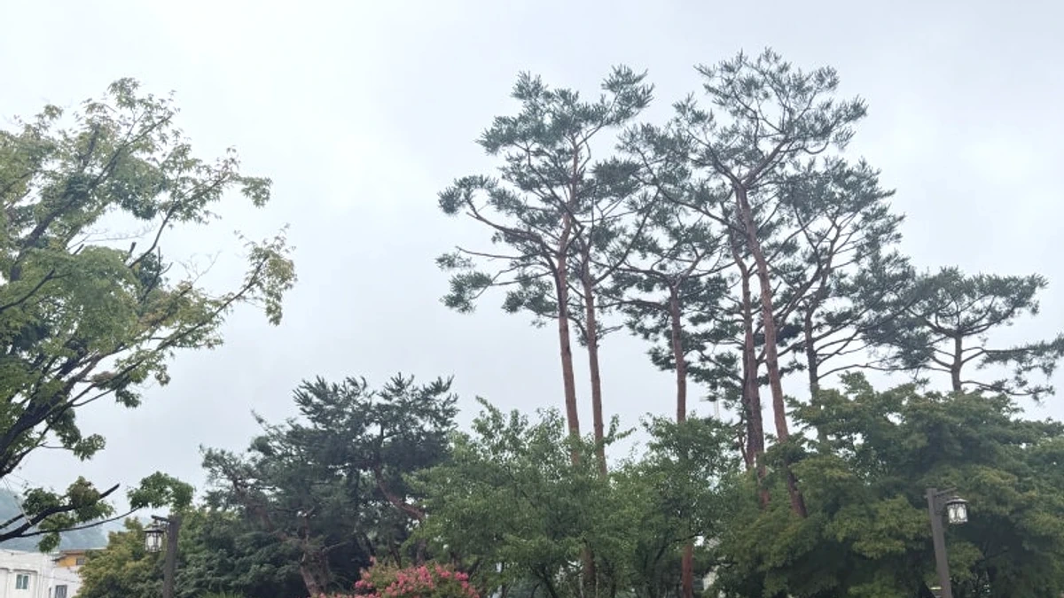 유산 주변 정원과 산책로가 이어지는 공원 풍경
