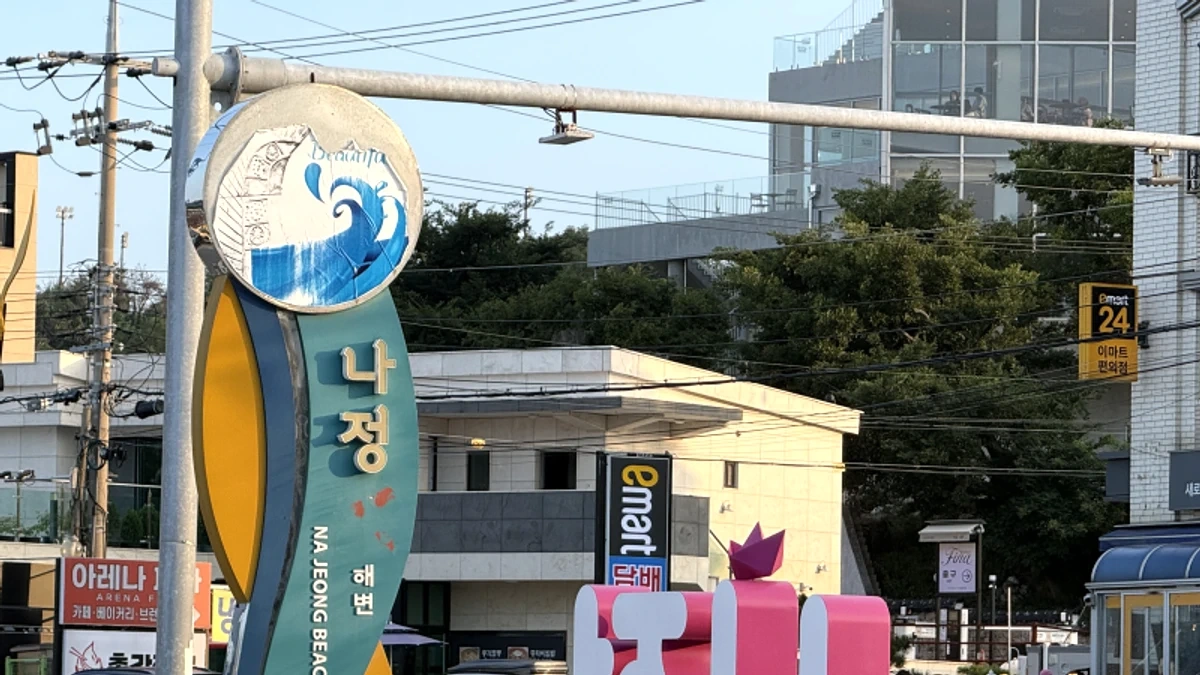 "7월 10일 문 연 무료 해변"... 경주 나정해수욕장 가족 바다 여행