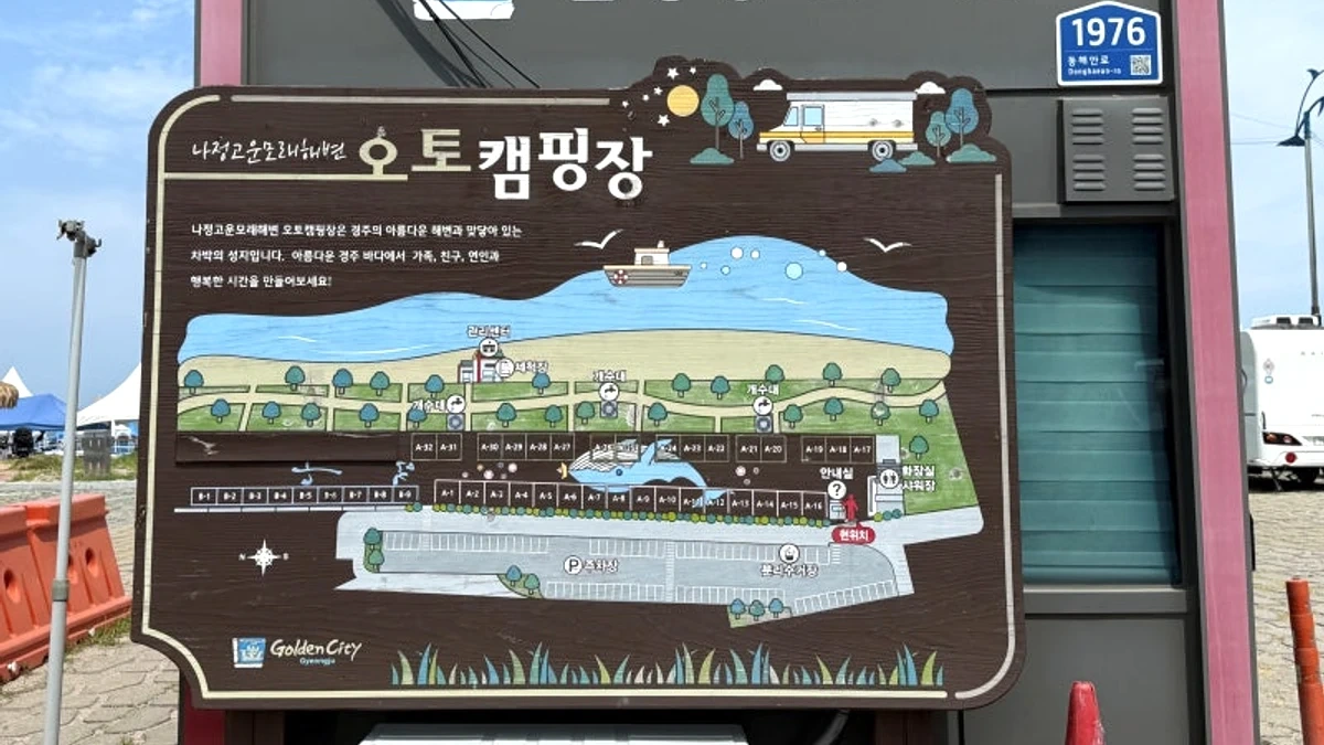 나정해수욕장 수영 가능 시간대의 해변 물놀이 구간