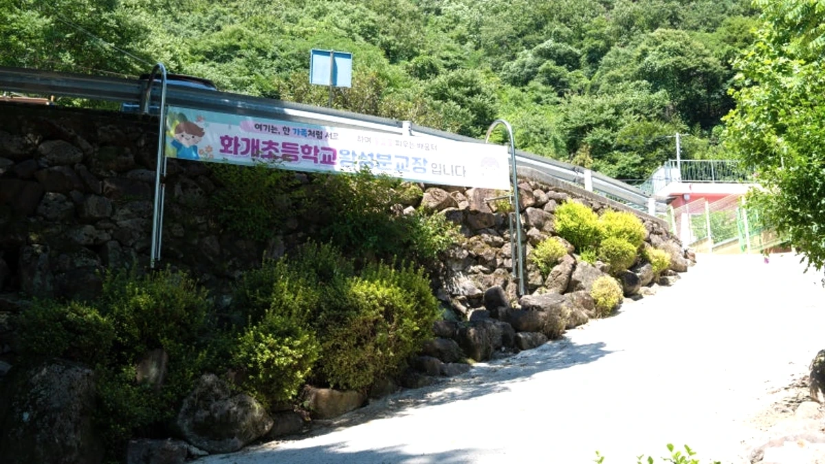 화개초등학교 왕성분교장 주변 주차 동선과 산 전망