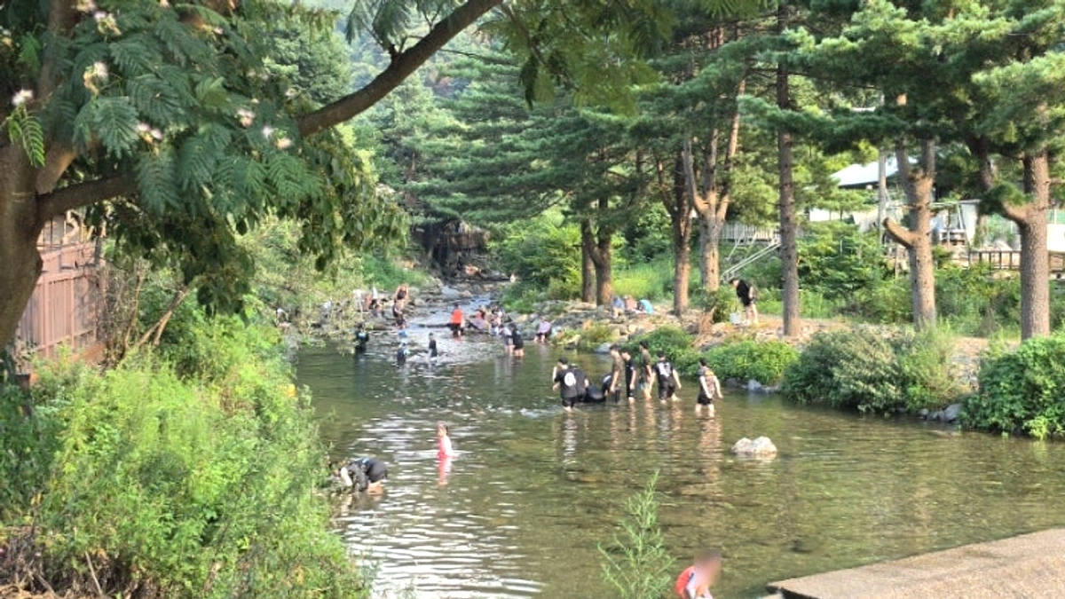 가평 어비계곡의 맑은 계곡 물길