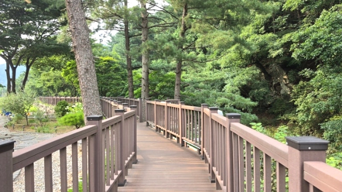 어비계곡 주변 숲그늘과 여름 산책 흐름
