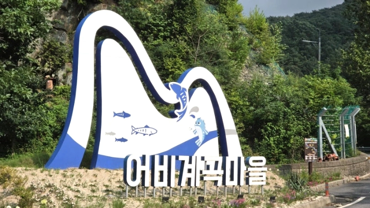 수도권에서 찾기 좋은 어비계곡 여름 풍경