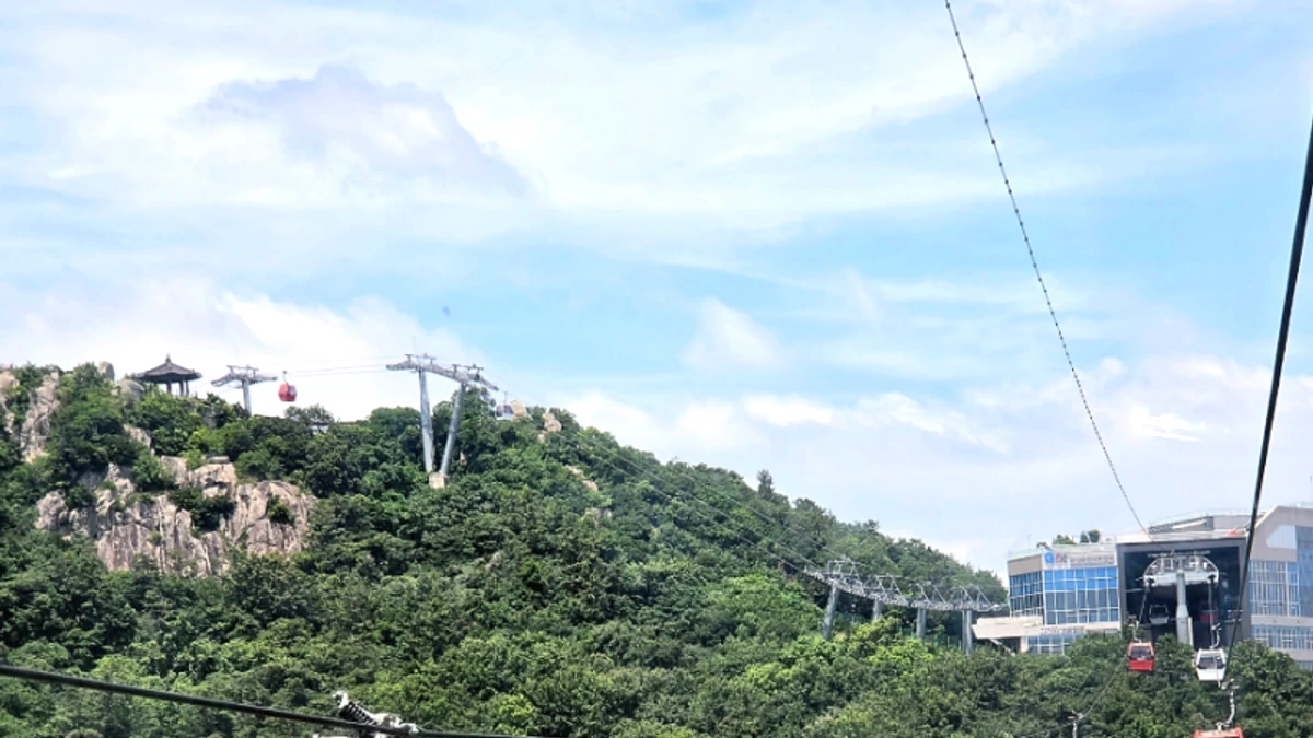 목포해상케이블카와 유달산 녹음이 보이는 조망