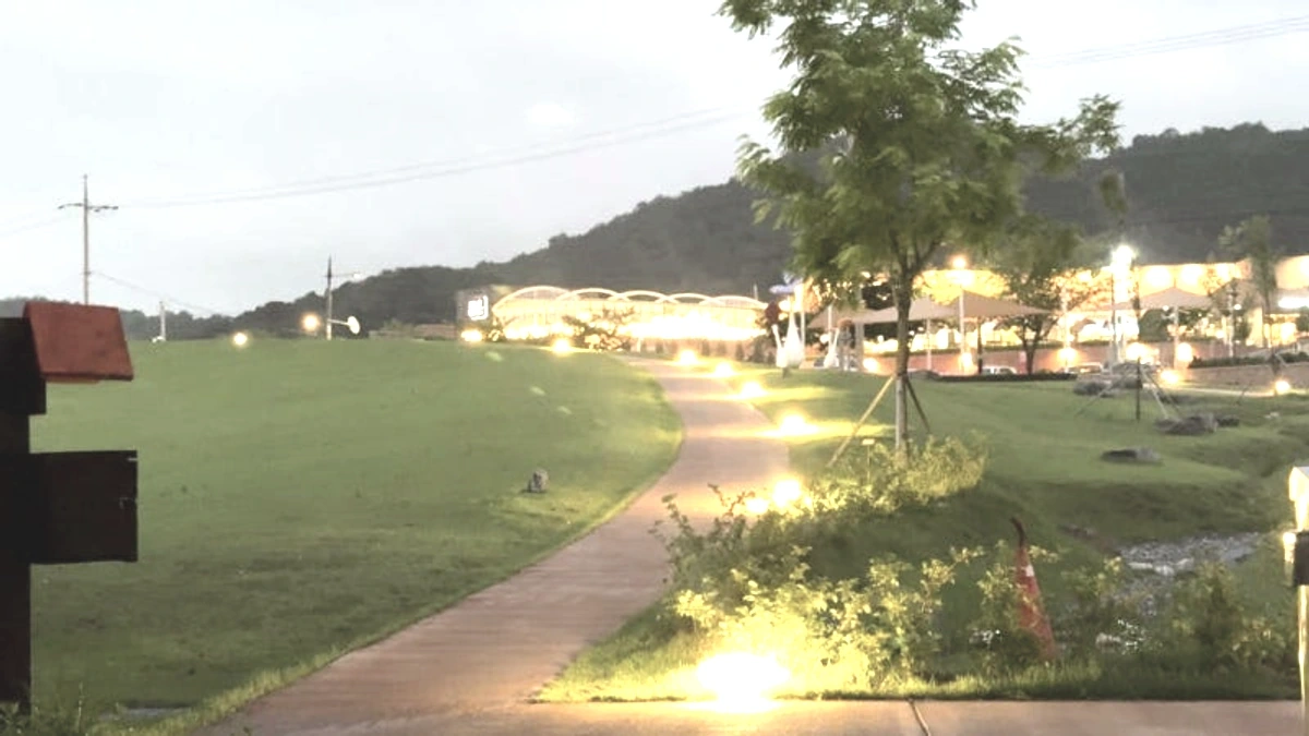 신정호 주변 길과 낮게 켜진 조명이 이어지는 장면