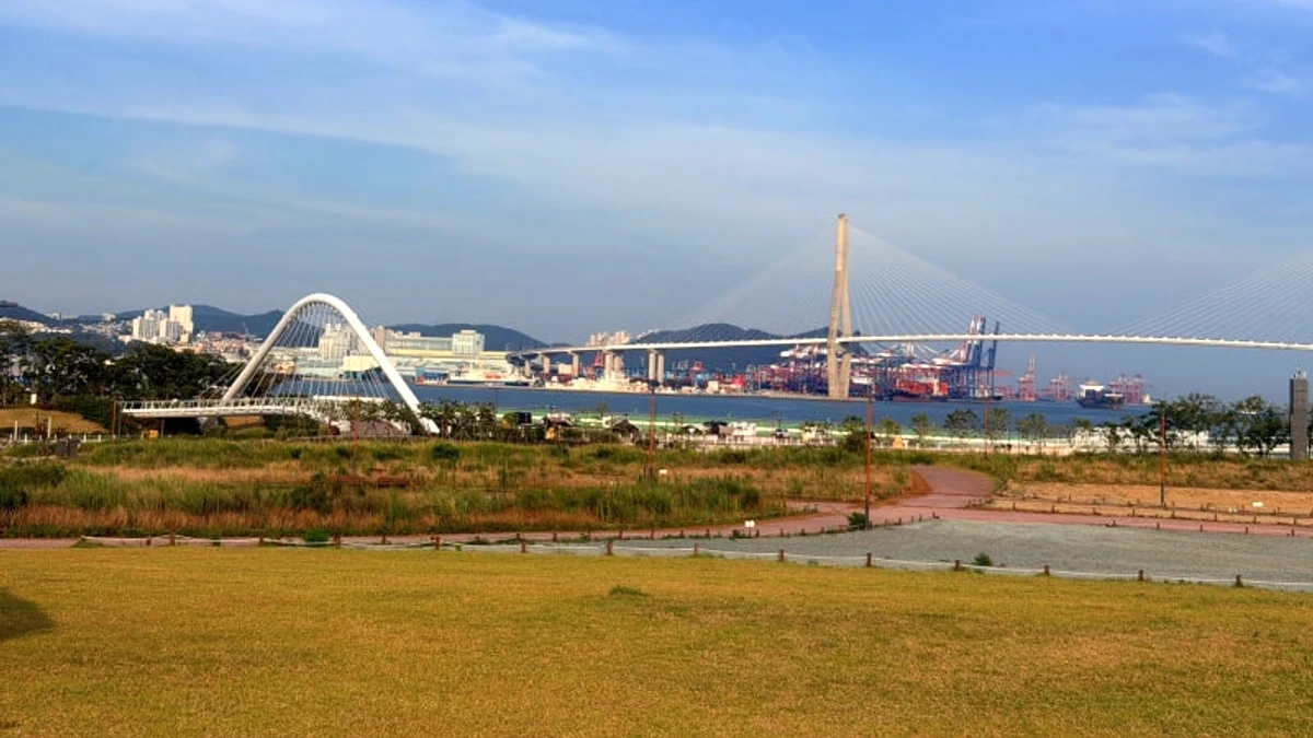 북항 친수공원 잔디광장과 항만 조망