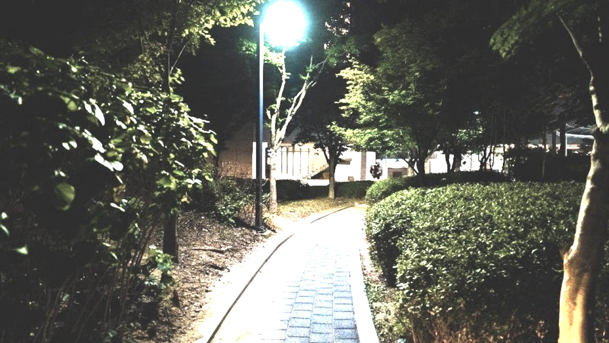 여름밤 천안 도심의 조명과 전망