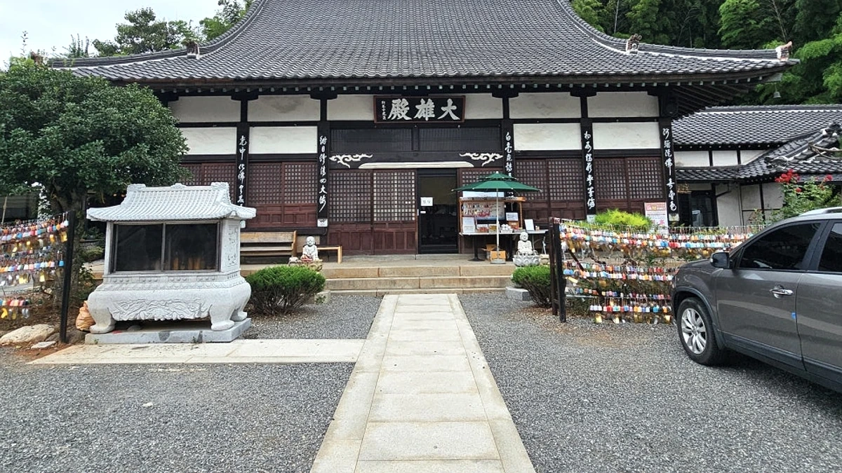군산 초원사진관과 근대 골목을 잇는 여름 산책 장면