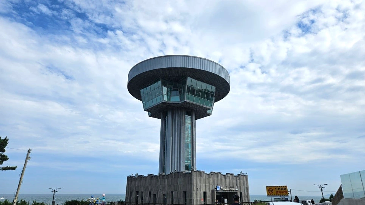 양남 주상절리 전망대에서 동해를 바라보는 장면