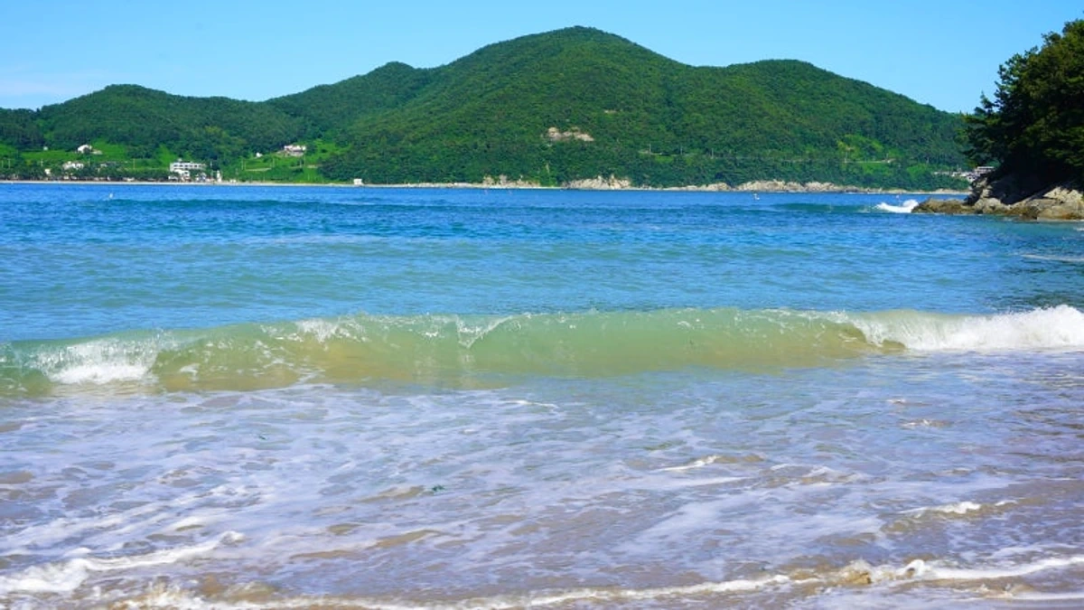 금포해변 파도와 맑은 물가