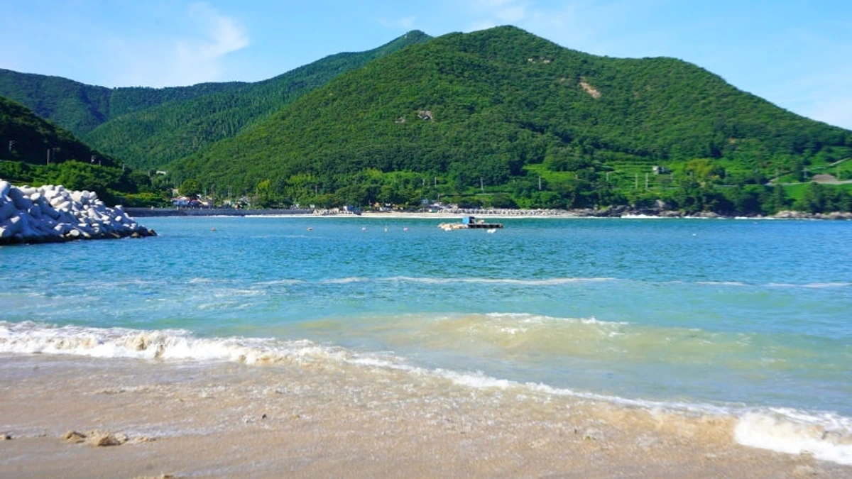 금포해변 산과 바다 조망