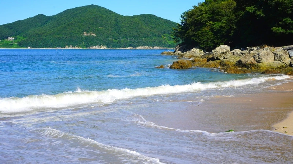 금포해변 해안선과 물놀이 구역