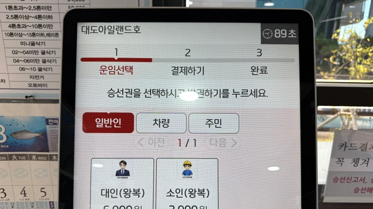 대도 파라다이스 워터파크의 여름 물놀이 공간