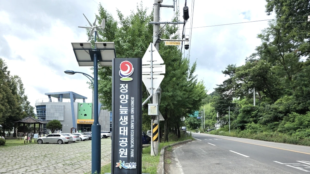 정양늪생태공원의 연꽃과 수련, 열린 하늘이 함께 보이는 습지 정원